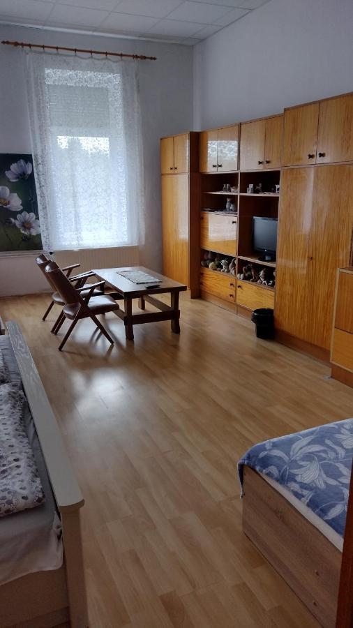 Drava Voelgye Vendeghaz Hotel Zakany Eksteriør billede